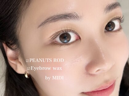 ミディ(MIDI)の写真