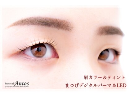 ボーテ ド アントス beaute de Antosの写真