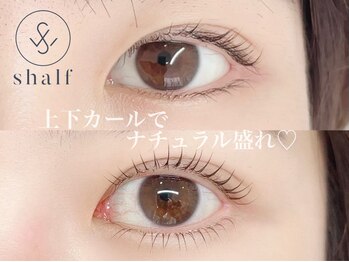 シャルフ(shalf)/ラッシュリフト上下