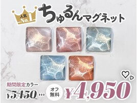 *先着順*マグネット×ワンカラー