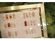 ネイルスタンド(NAIL STAND)の写真