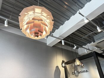 コンアニマ(Con anima.)の写真/【大宮駅東口徒歩5分】コンクリート調のお洒落な外観と大きな扉が目印！扉を開けたらあなただけの空間に♪