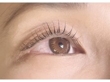 パレット(palette)/●