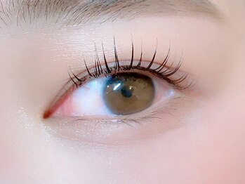 ニコットラッシュ 難波店(nicott lash)の写真/＜なんば/20時迄営業＞オフ込シルク100本¥2980/フラットラッシュ100本¥5180/付け放題¥4980～