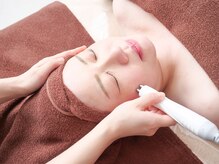 エルマナ(Hermana)/エレクトロポレーション