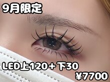 ル クール 宮内店(Le Coeur)