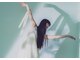エスボディジャパン(S-BODY JAPAN)の写真