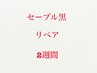 ２週間以内【前回セーブル付け放題で来店された方】　リペア　￥3000