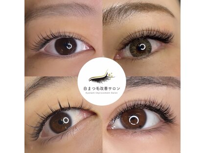 ラッシュコネクト(Lash Connect)の写真