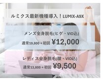 ビューティービー(Beauty Bee)