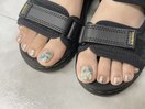ワンカラー+シェル