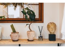 ミルラ(MYRRH)/頭