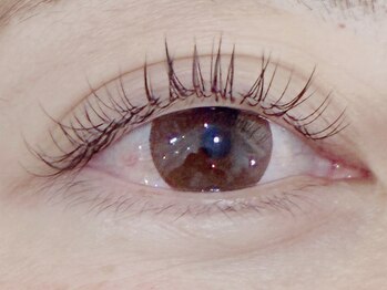 comfort～eyelash～/ぱっちりお目目