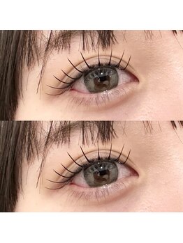 バニーアイズ 天神(Bunny eyes TENJIN)/フラット120本
