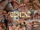 ジェミニ(GEMINI)の写真