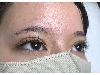 オランダエステティック(Holland Esthetics)/セーブル50/50