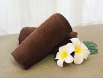 ハッピーパーム 永遠の美(HAPPY PALM 1003)