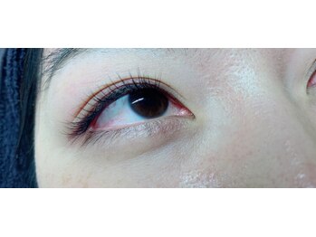 ルチア(Lucia)/Jカール 100本 【2】