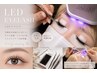 初回オフ込み 圧倒的高持続 LEDグルーフラットラッシュ120本 6500円