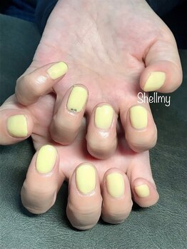 シェルミー(Shellmy)/ワンカラー &nbsp;