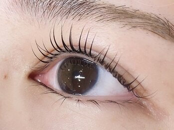 ディレット(DILETTO)/パリジェンヌラッシュリフト