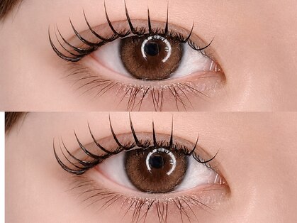 アイラッシュリリィ(Eyelash Lily)の写真