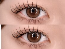 アイラッシュリリィ(Eyelash Lily)