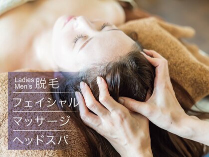 エイチビー(HB)の写真
