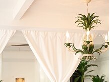 ハロハビューティ(Haloha Beauty)/Haloha Beauty