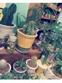 プラスボディサロン 津田沼店(PLUS BODY SALON)&nbsp;観葉植物やお花に癒されてます(*^^*)可愛いー♪