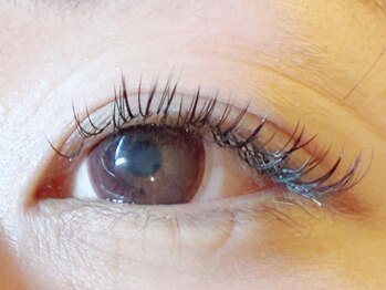 comfort～eyelash～/メーテル風アイラッシュ