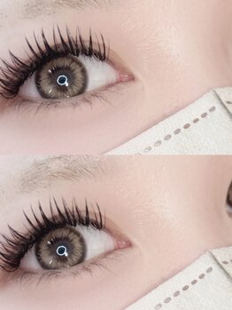 スアアイ(sua.eye)の写真/ナチュラルからボリュ-ミ-まで幅広く似合わせ☆憧れのパッチリ目元に♪メガフラット60束￥5500/80束￥6500