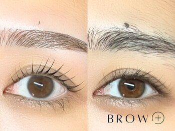 ブロウタス 新丸子店(BROW+)/まつげパーマ