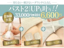 美人バスト 静岡店