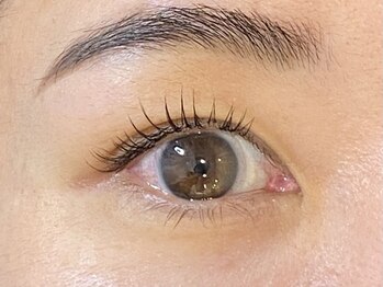 アトリエ ハルミナ(atelier harumina)/根元から綺麗にUPまつげパーマ