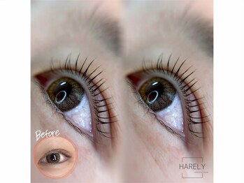 ハレリー(HARELY)/まつげパーマ