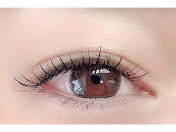 カランコエ(Kalanchoe)/まつ毛エクステ