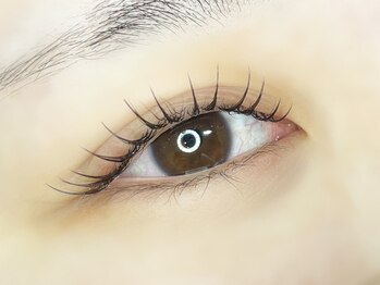 アルボ フレスポ赤道店(arvo)/【マツエク】 フラットラッシュ