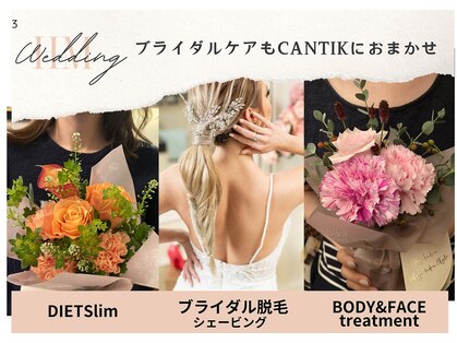 チャンティック(Cantik)の写真