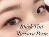 【目力UP♪】韓国マスカラパーマ(アイシャンプー付) ¥5980