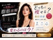 メディカルエステ 東銀座店