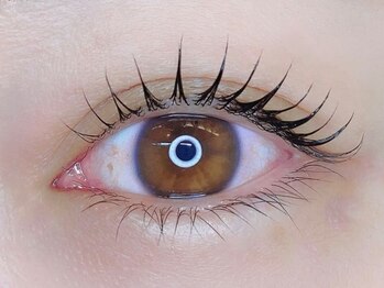 ミミ(mimi)の写真/【すっぴん目力UP】根元から立ち上げラッシュリフト！ダメージレスのトリートメントで傷みを抑えて長持ち◎