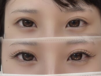 プレマージュ(Premage)/フラットラッシュ