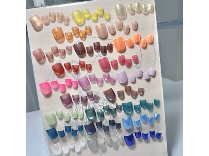 クレール(claire)の写真