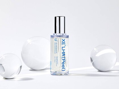 リノ(Lino)の写真