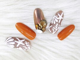 ３D　sea shells
