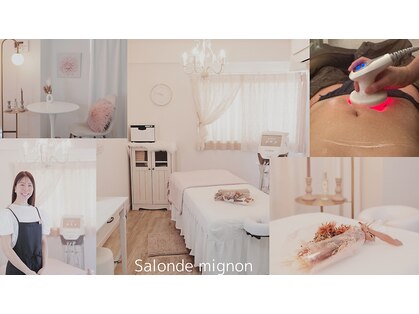 サロン ド ミニョン(salon de mignon)の写真