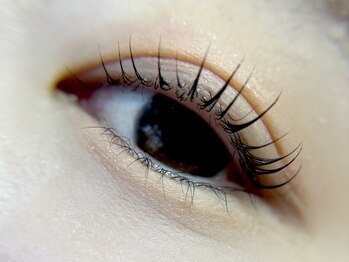 オルテンシア 六本松(ORTENSIA)/まつ毛パーマ