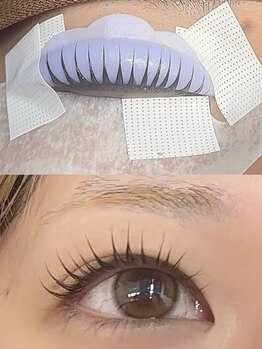 パンダアイラッシュ 上野(panda eyelash)/
