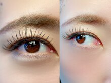 マロウアイラッシュ(mallow eyelash)
